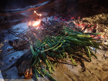 Calcots in a barbecueの素材