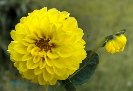 ibizaの写真素材