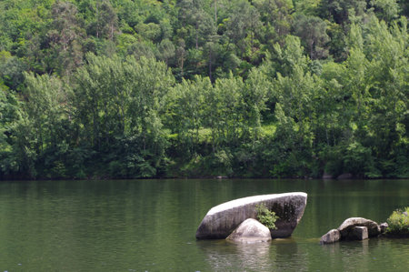 River rocks and green treesの写真素材