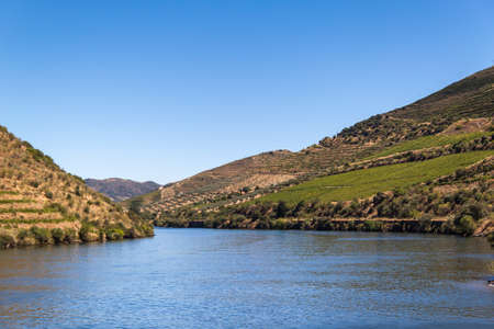 View of the Douro vineyards from belowの写真素材