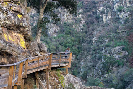 Young girl looking at the landscape on wooden walkways in the mountainsの写真素材