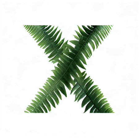 letter x of the alphabet made from fern leaves isolated on white backgroundの写真素材