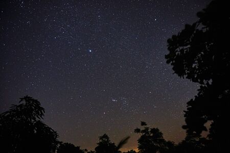 Starry blue sky with trees silhouettesの写真素材