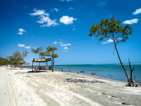 Beautiful mangrove beach in a sunny day in Jericoacoara, Brazilの写真素材