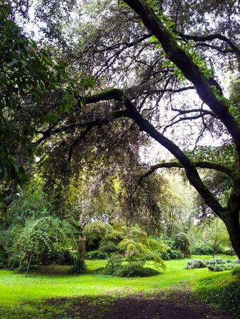 Ruins and refection in Giardini di Ninfa in Italyの写真素材