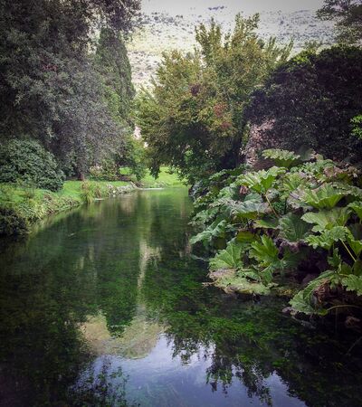Ruins and refection in Giardini di Ninfa in Italy