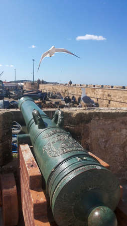 Seagull and old cannon in Essaouira fort in Moroccoのeditorial素材