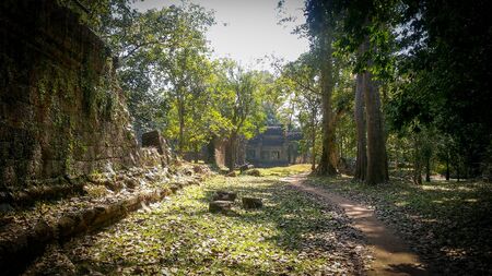 Ruins of the Ta Prohm temple in Angkor Wat. Ancient Khmer architecture near Siem Reap, Cambodiaの写真素材