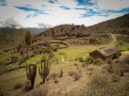 Beautiful scene with cactus, house of muddy in Colca Canyon, Peru in a summer dayの写真素材