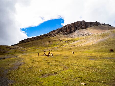 beautiful view from Tunari trail in Cochabamba, Bolivia