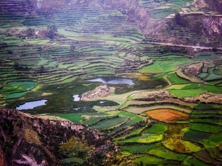 Amazing terraces in Colca Canion, one of the deepest canyons in the wworldの写真素材