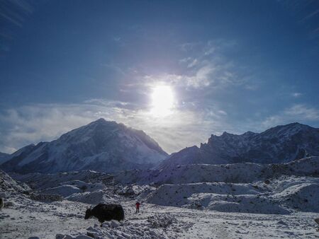 Lonely trekker and yak at Everest base camp trek. High mountains, cloudy day. Amazing valley. High mountains in Nepalの写真素材
