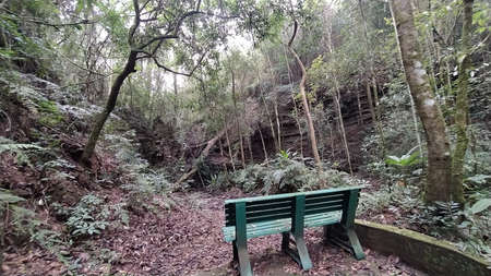 lonely scene with an isolated bench in the forest. Sad imageの写真素材