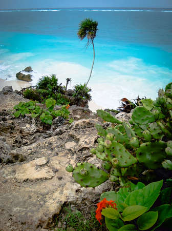 Maya ruyn in Tulum, Mexico. Caribean sea, amazing beach. Windy dayの写真素材