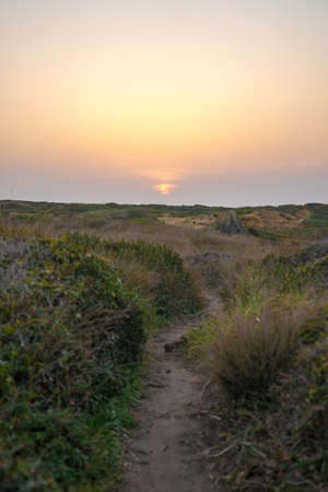 Walk, run or hike in the nature during sunset. Path for walking, running or hiking. Healthy lifestyleの写真素材