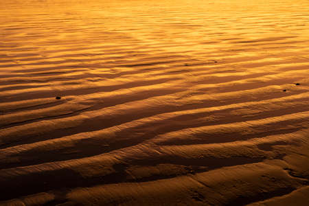 Sand texture waves close up at sunset. Background pattern of sand at the beach.の写真素材