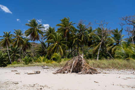 Beach shelter made of wood and palm tree leafs. Travel and vacation with island feeling, exotic tropical backgroundの写真素材