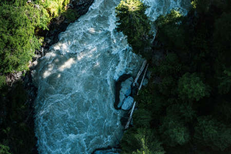 River Crossing through the Swiss Forestの写真素材