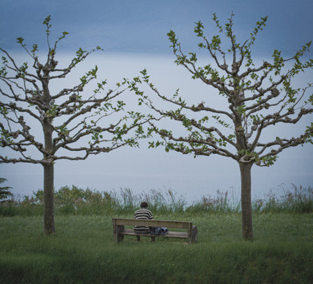 A lonely man sitting on a bench in the middle of a meadowの写真素材