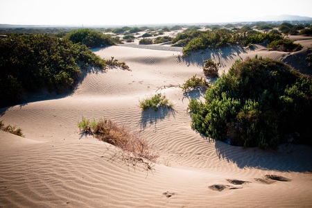 Desert dunes with wavesの写真素材