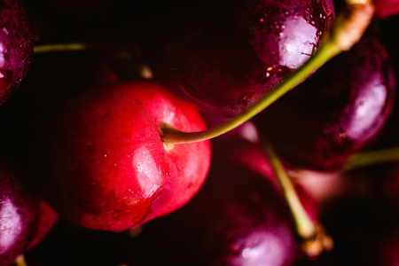 Closeup round sweet red cherries, Summertimeの写真素材