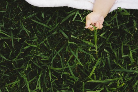 Hands of children doing thingsの写真素材