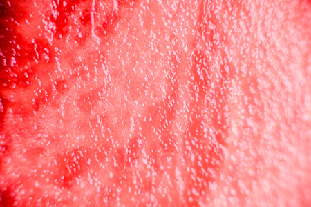 Slices of fresh juicy seedless red watermelon ideal for summer heatの写真素材