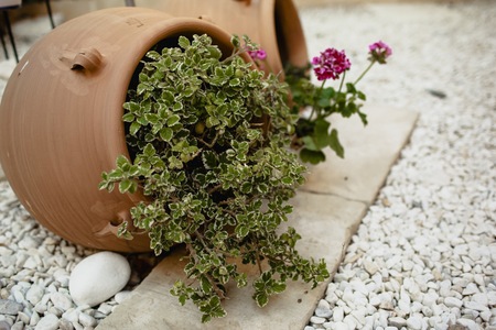 Decorations for a rustic outdoor wedding with natural motifs and flowers.の写真素材