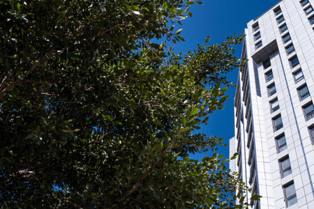 High-rise building skyscraper with sky and trees backgroundのeditorial素材