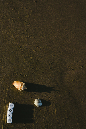 love concept made with dice with letters on the wet sand of a beach and marine motives.の写真素材
