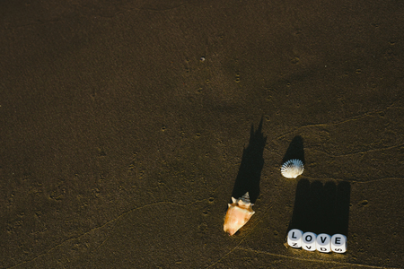 love concept made with dice with letters on the wet sand of a beach and marine motives.の写真素材