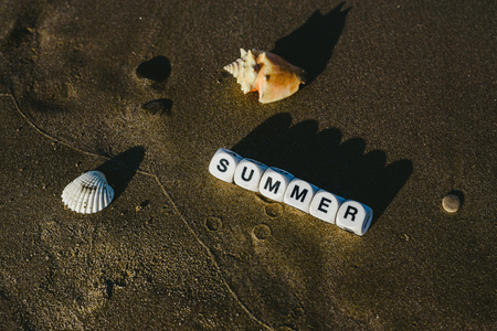 Summer concept made with dice with letters on the wet sand of a beach and marine motives.の写真素材