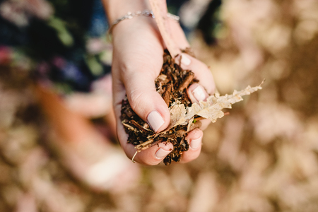 Hands with a handful of dried leaves and forest flowers