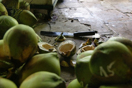 Unpeeled coconuts in their natural state