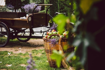 Decorations for a rustic outdoor wedding with natural motifs and flowers.の写真素材