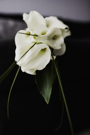 Colorful isolated bridal bouquet for a weddingの写真素材
