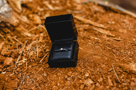 Silver and gold wedding rings