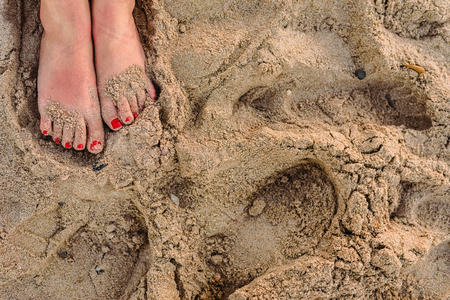 Feet of woman in the sand of a beach