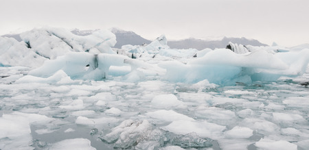 Glacier lake full of large blocks of ice.