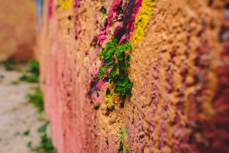 Detail of an anonymous street graffiti with many colors, cheerful urban background.の写真素材