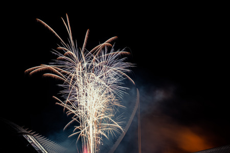 Colorful fireworks over the night city, free black space for text.