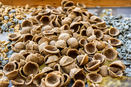 Traditional orecchiette pasta from Italy, for sale in street stalls in the city of Bari for tourists.の写真素材