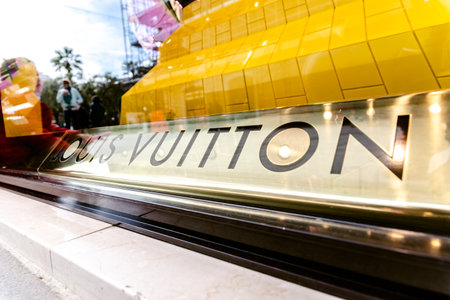 Bari, Italy - March 12, 2019: Detail of an original Louis Vuitton showcaseのeditorial素材
