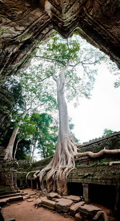 Angkor Wat, Cambodia - November 4, 2011: Interior of the ruins of Angkor Wat.のeditorial素材