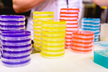 Empty colored petri dishes for use in scientific and school experiments.