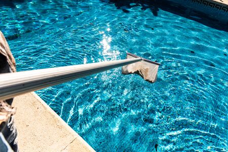 Maintenance man using a pool net leaf skimmer rake in summer to leave ready for bathing his pool.