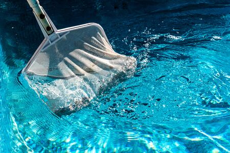 Pool Net Leaf Skimmer Rake in summer.の写真素材