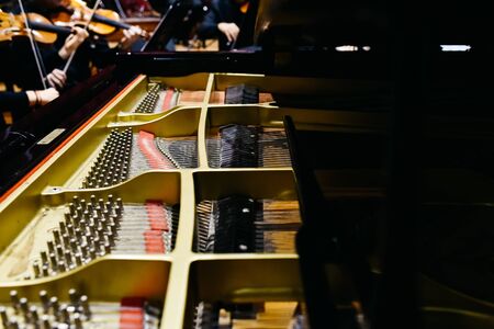 Detail of the interior of a piano with the soundboard, strings and pins.