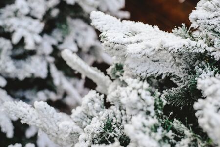Snowy spruce branches with fake snow to decorate house in winter.