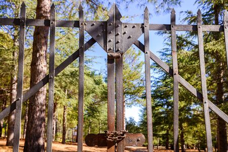Old door with rusty iron fence closed with chains.の写真素材